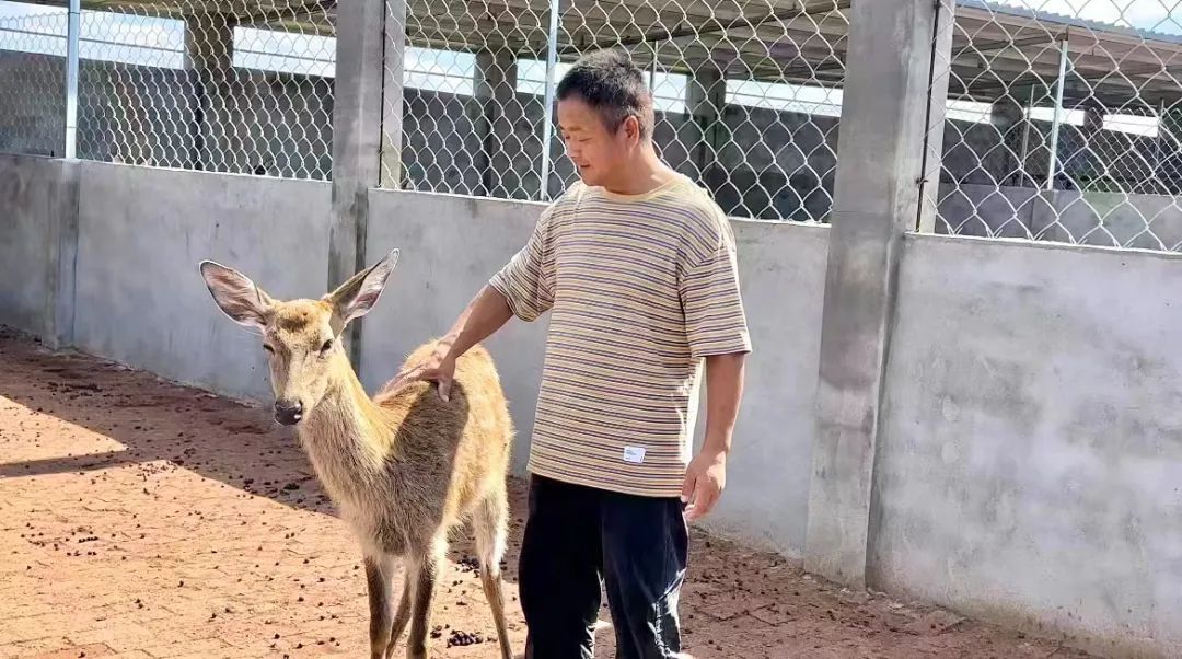美梅高注册平台